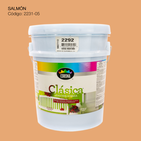 PINTURA ACRILICA LATEX CUBETA SALMON